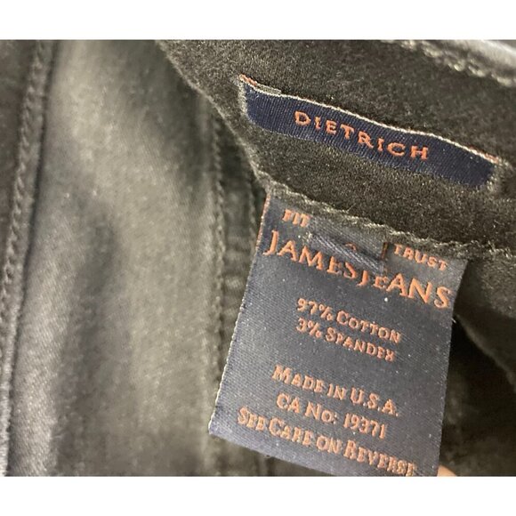 James Jeans Dietrich Thigh High Skinny Jeans 28 Femme Fatal Black Goth REVOLVE - Picture 7 of 16